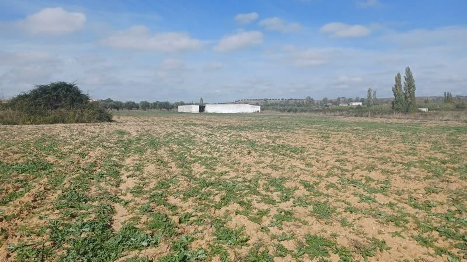 Venta de terreno urbano en Calera y Chozas